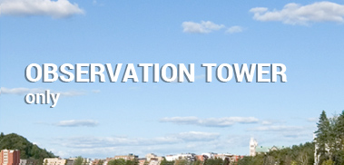 Tour d'observation seulement