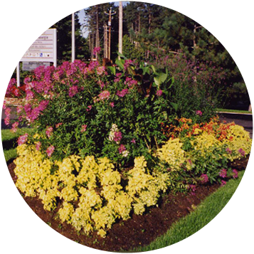 jardins de la Synergie